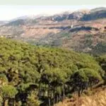 Jezzine Cedar Reserve